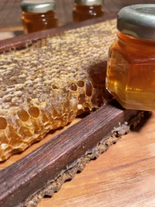 *favo de mel não incluso no kit