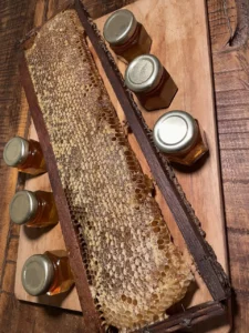 *favo de mel não incluso no kit