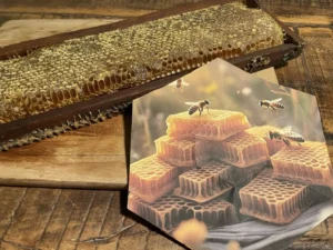 *favo de mel não incluso no kit