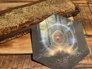 *favo de mel não incluso no kit